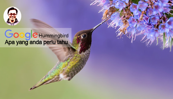 3 Teknik Hummingbird Supaya Google Suka Website Anda