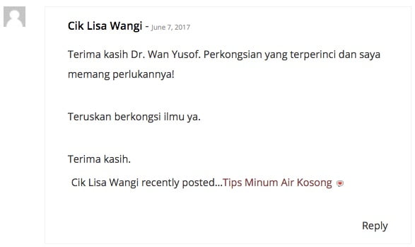 contoh wordpress comment