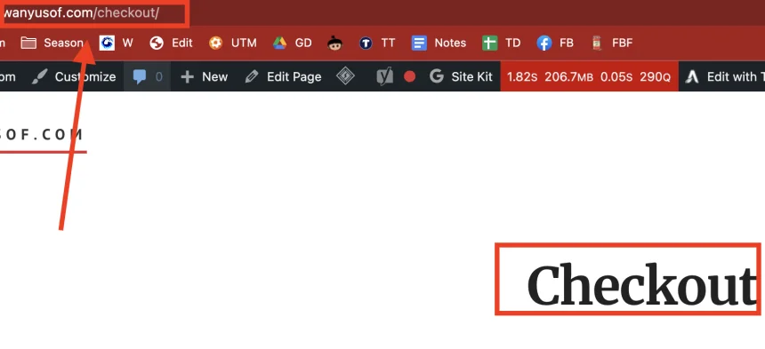 checkout url checkout url